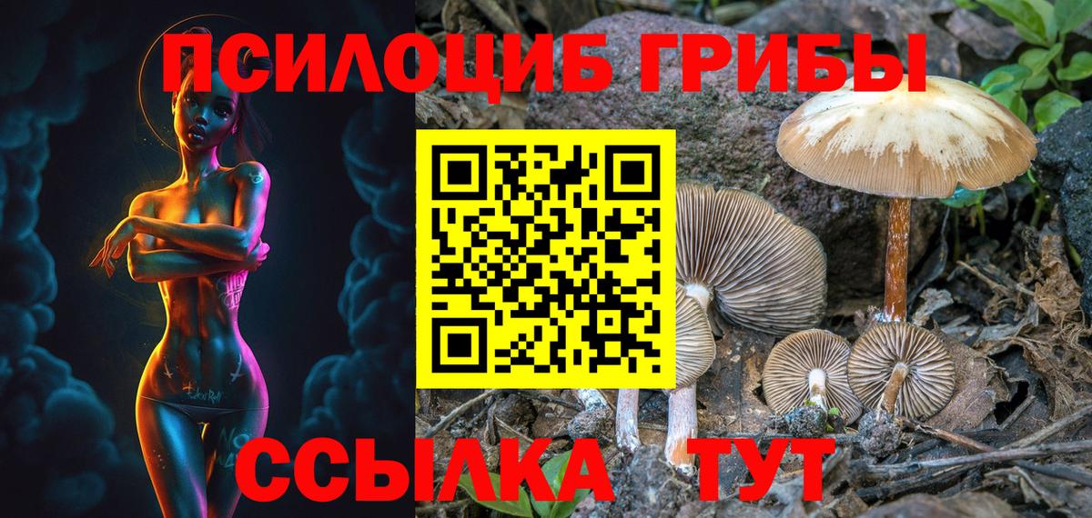 Псилоцибиновые грибы ЛСД Тобольск