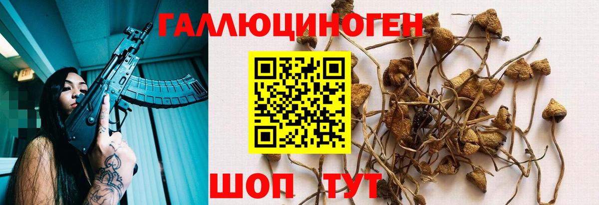 Тобольск  Псилоцибиновые грибы MAGIC MUSHROOMS  Вход с VPN 